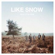 Review: Like Snow - Beauty & Fear